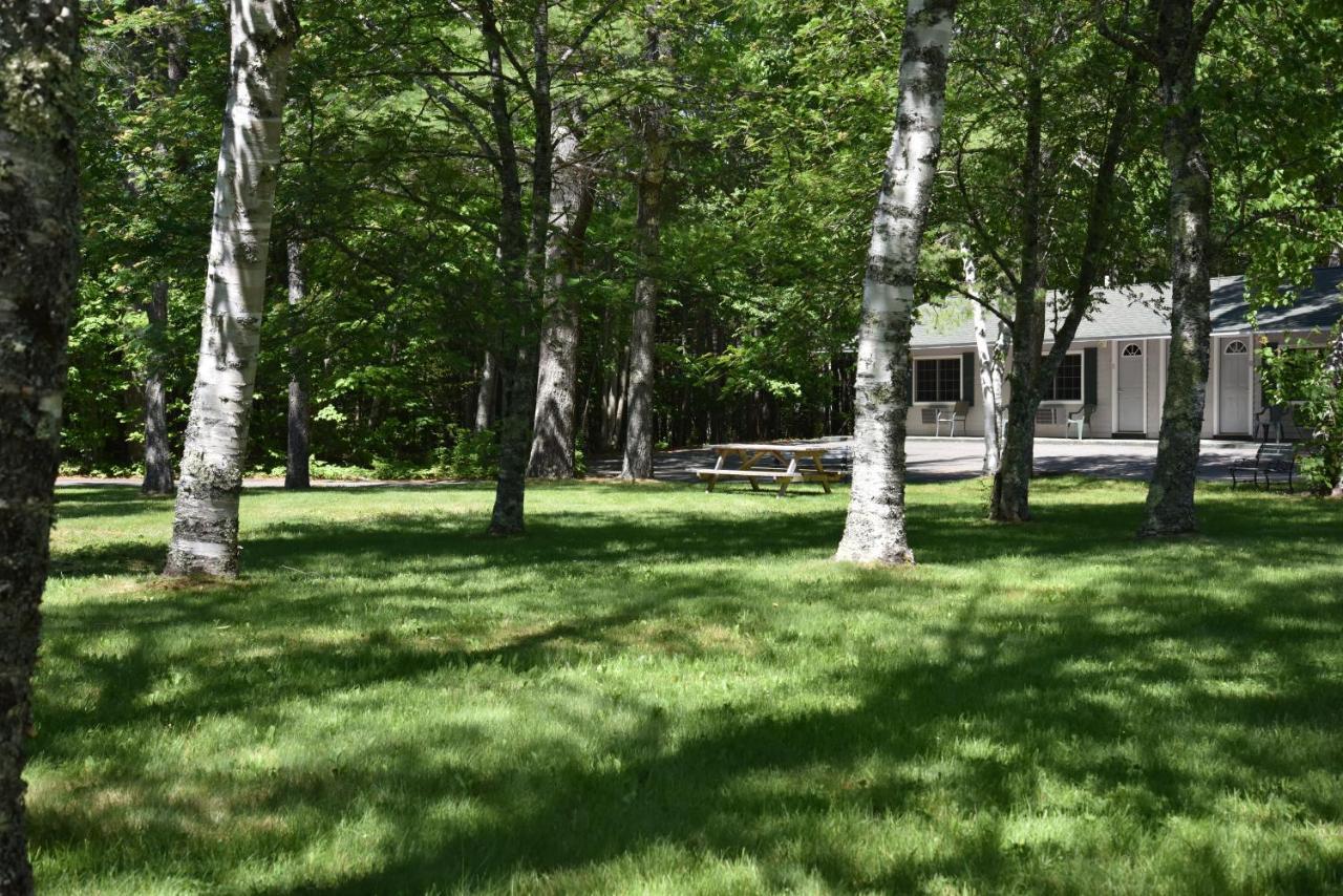 Acadia Pines Motel Бар Харбър Екстериор снимка